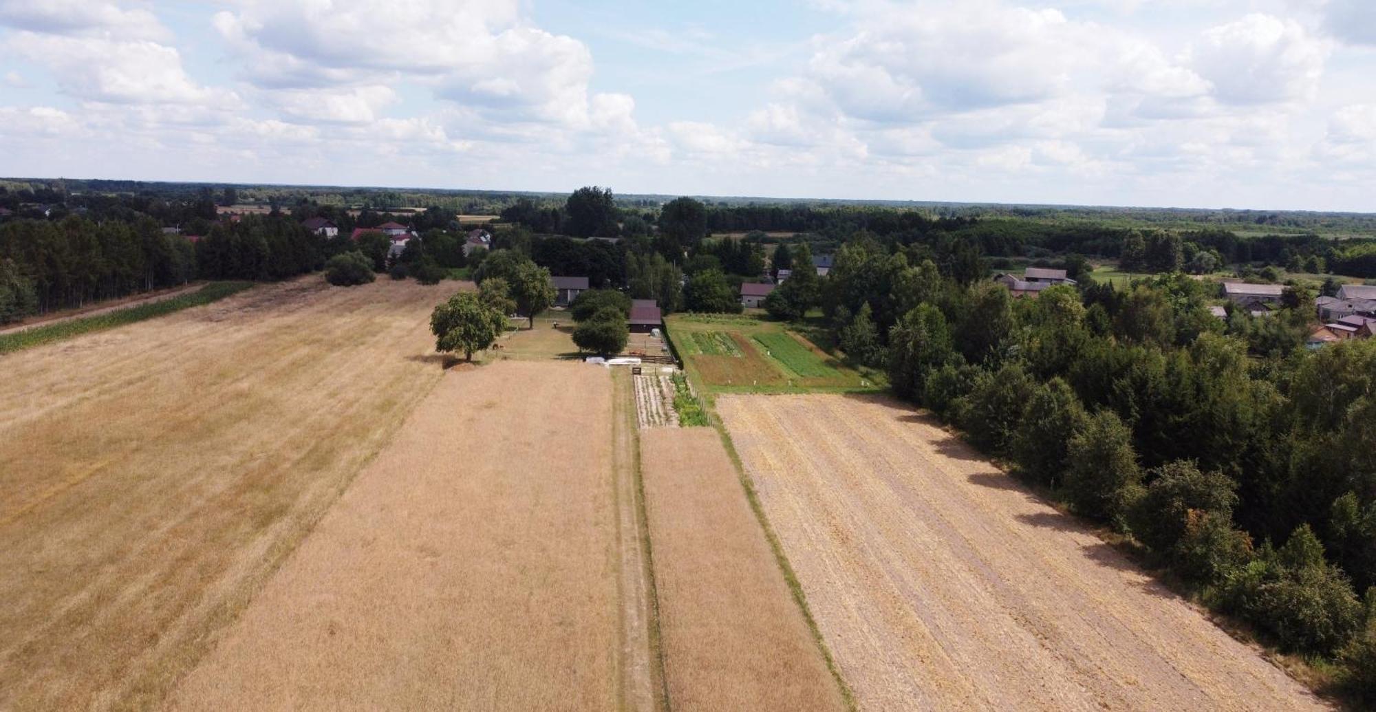 Agroturystyka Kraina Jezior Ludwin Екстер'єр фото