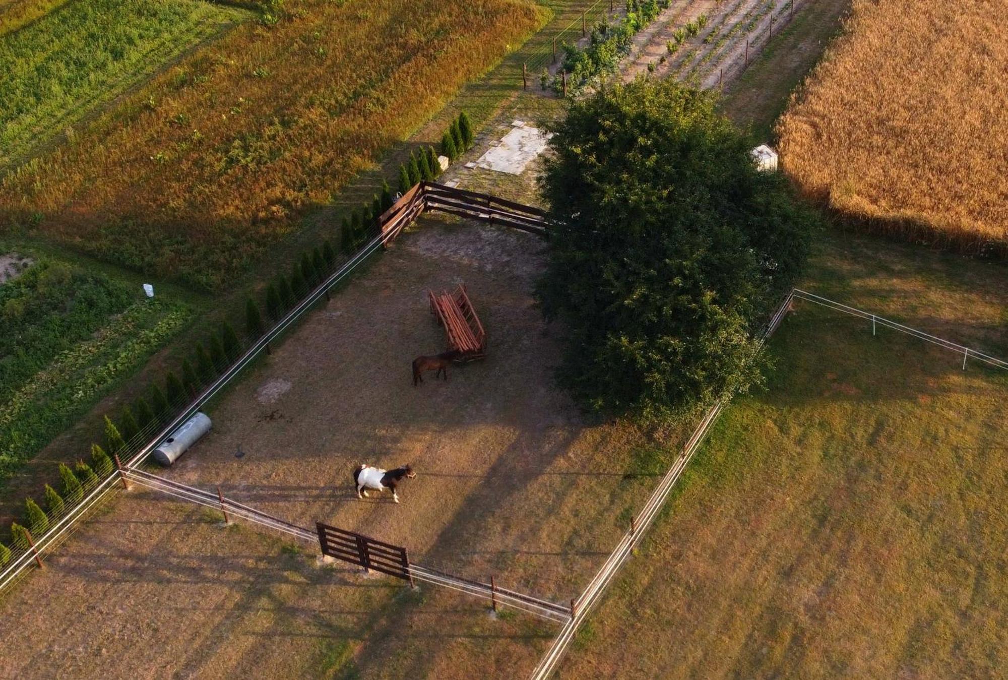 Agroturystyka Kraina Jezior Ludwin Екстер'єр фото